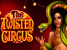 Игровой аппарат The Twisted Circus